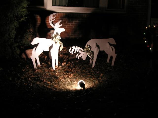 WNA-Holidays 0285.jpg