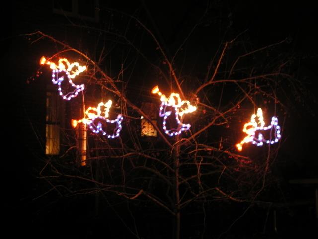 WNA-Holidays 0310.jpg