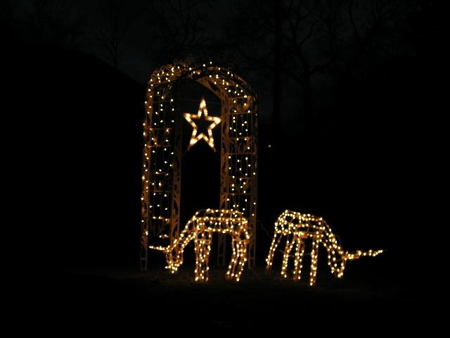 WNA-Holidays 0460.jpg